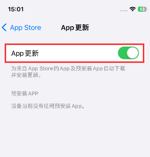 亳州苹果15维修中心如何让iPhone15APP自动更新