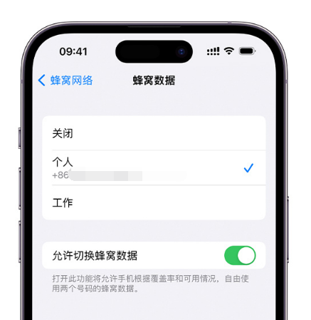 亳州苹果维修服务分享如何在iPhone上使用双卡 